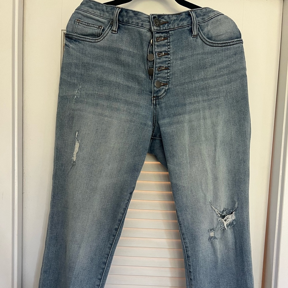 Kut from the Kloth Reese Jean